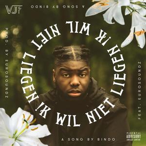 Ik wil niet liegen (feat. Eurosoundz)