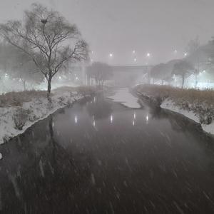 세상에 믿을 놈은 하나