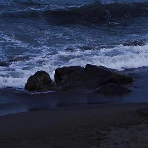 蜜蜂（翻自 万玲琳）