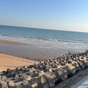 ARTUFUCUAL INTELLIGENCE 50