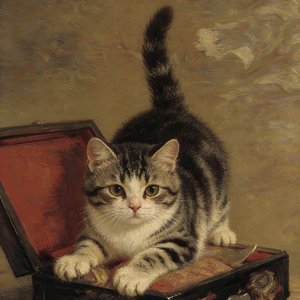 小有遗憾也会好