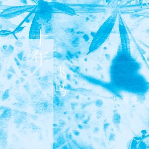 十年如逝已飞鸟