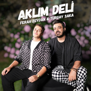 Aklım Deli