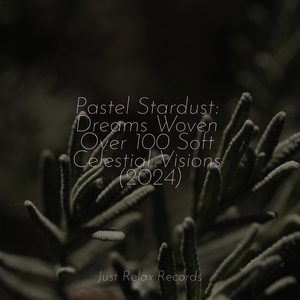 Vibrant Journey's Rhythm