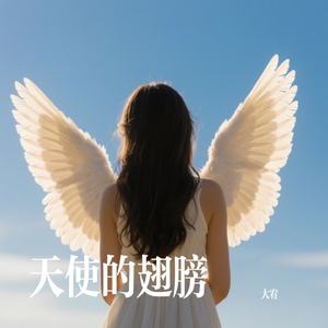 天使的翅膀