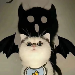 muhabat xirin (爱情甜蜜)