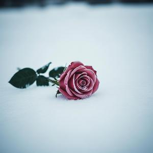 슬픔은 이제 안녕