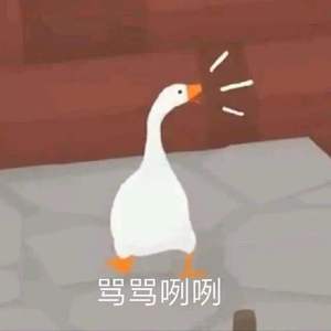 我是一只大白鹅