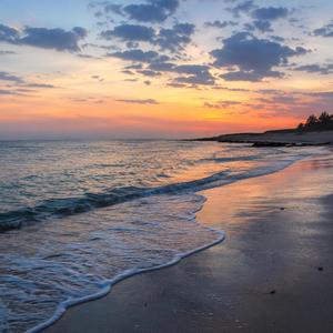 The Shore