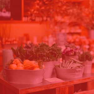 一尘不染购物中心印象数