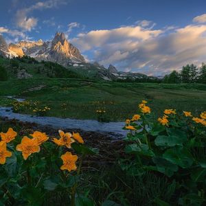 如果爱是一道选择题 那你永远是首选