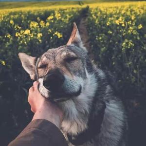 s-startUnkind(低通版)（兔子先生 remix）