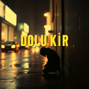 DOLU KİR