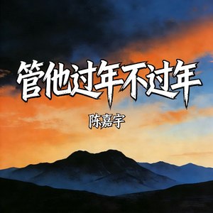 管他过年不过年
