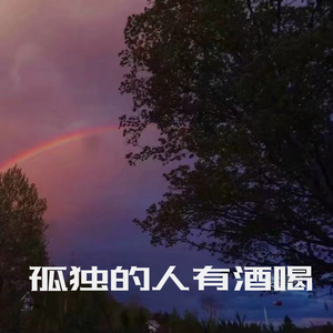 群星-寡妇王二嬢（D.I.S.症. remix）