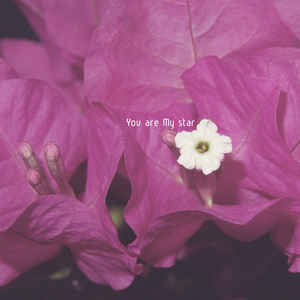 이렇게 아플줄 알았다면