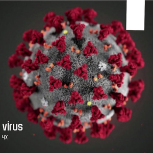 virus
