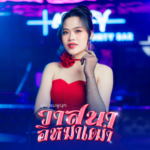 วาสนาอีหมาเฒ่า