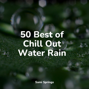 Forest, Animals, Cicadas