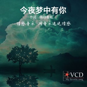 今夜梦中有你.wav
