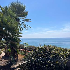 754 (feat. Molly Rose) (Edit)