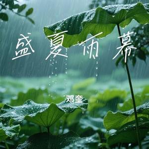 盛夏雨幕