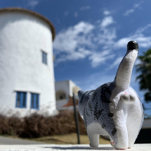 ตราบใดที่ฉันยังอยู่