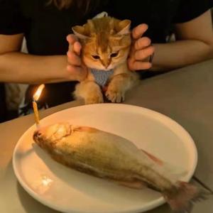 老男孩（清唱+口琴版）