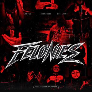 FELONIES (REMIX)