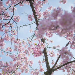 那年稚气未脱的脸颊