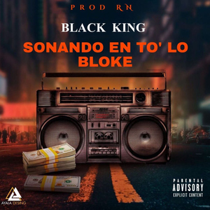 Sonando En To Lo Bloke