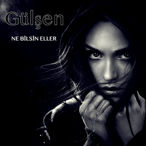 Ne Bilsin Eller