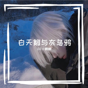 白天鹅与灰乌鸦