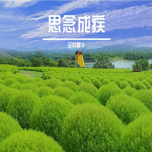 思念成疾