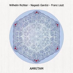 Unstern! - Sinistre Disastro