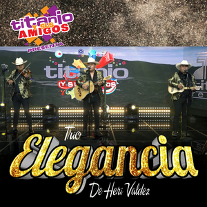 Tonto Mi Corazón (En Vivo)