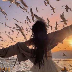 六月试卷会发光