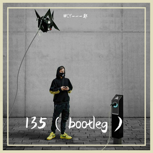 Alan Walker-135（WCY-_-耶 remix）