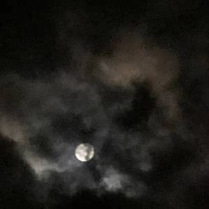 Late night essays（prod.UVI）