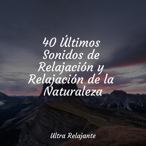 Meditación Consciente