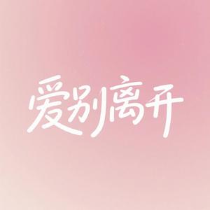爱别离开 (女声版)