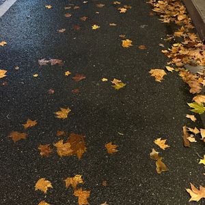 “秋凉” Indie Pop Guitar Type Beat