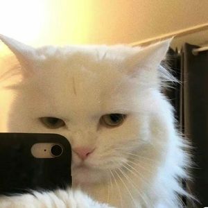 纸月亮备忘歌曲旋律