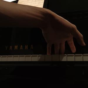 夜曲第8号2022张佳沁