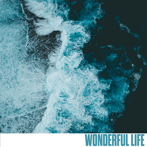 Wonderful Life