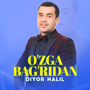 O'zga bag'ridan