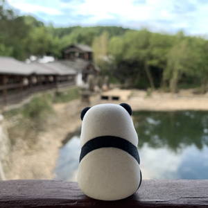 玻璃杯（弹唱）