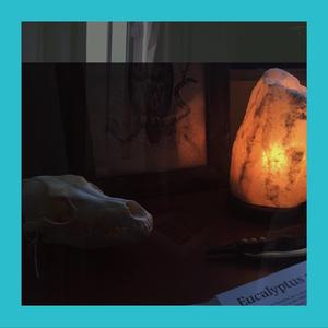 Pierian Spring (Interlude)