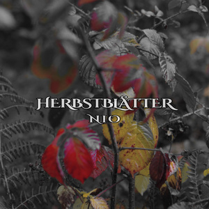 HERBSTBLÄTTER