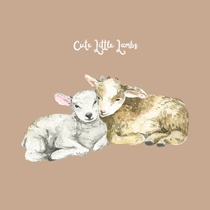 Cute Little Lambs